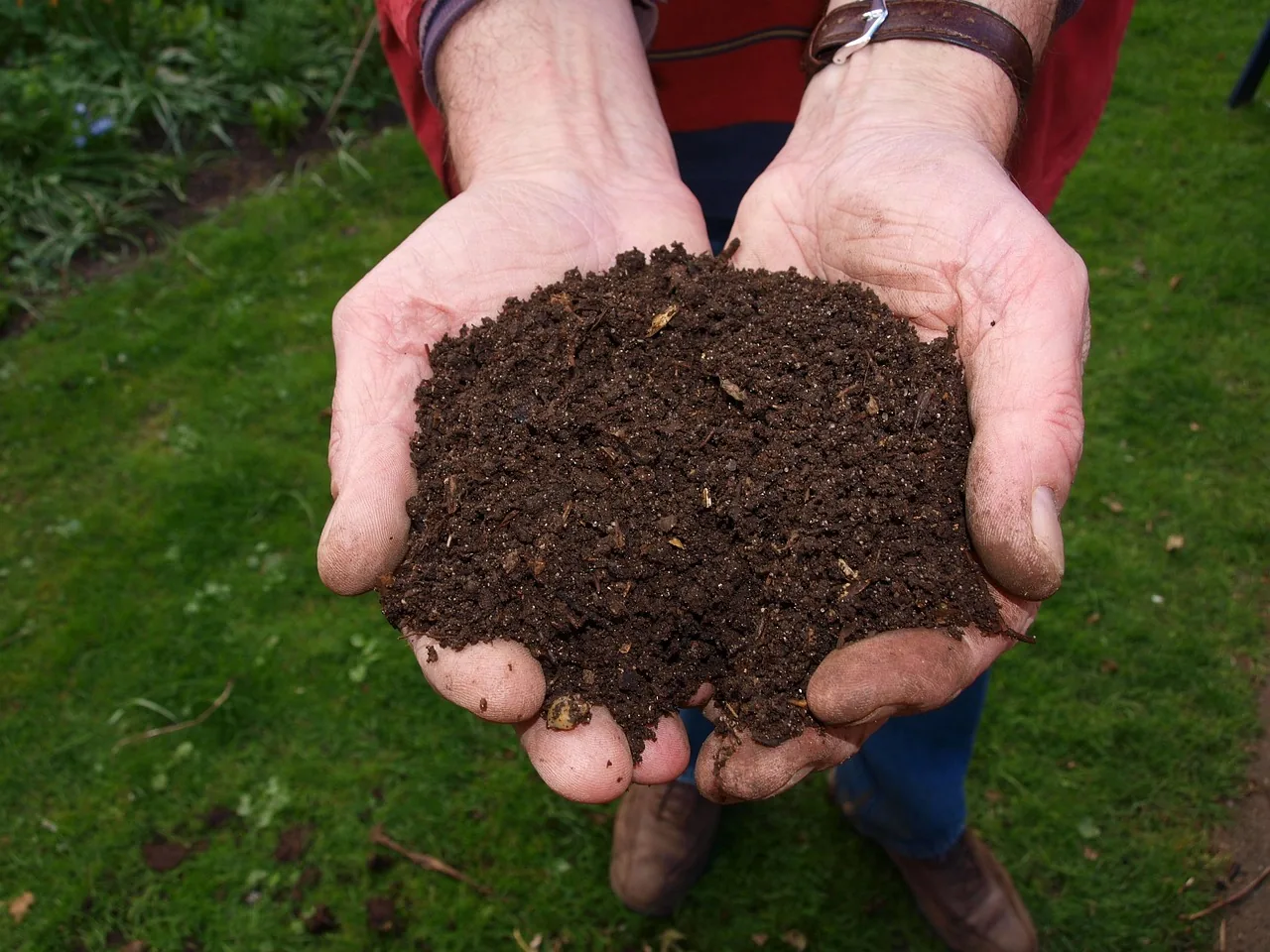 Hands holding fresh topsoil
