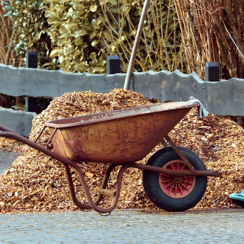 Wheelbarrow of mulch on a garden path